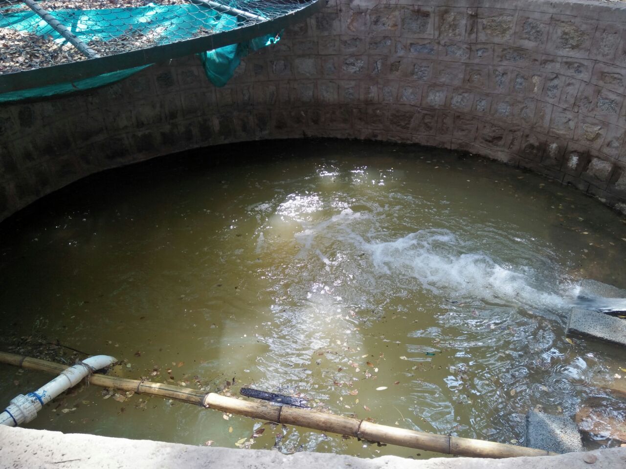 Water after cleanup of an Open Well